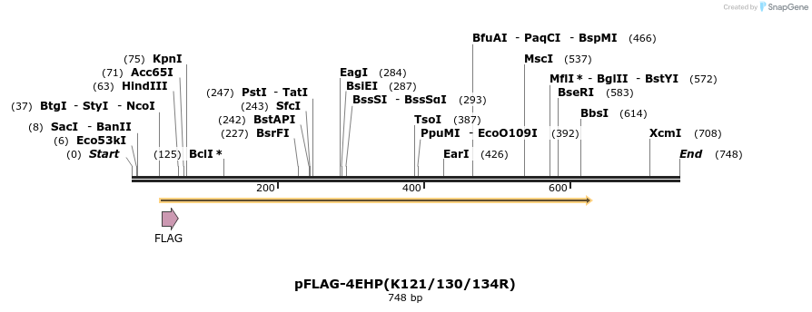 23292_map