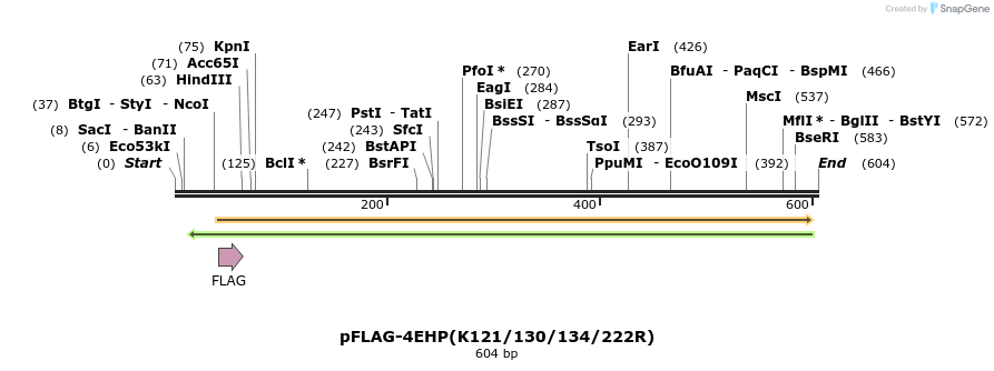 23293_map