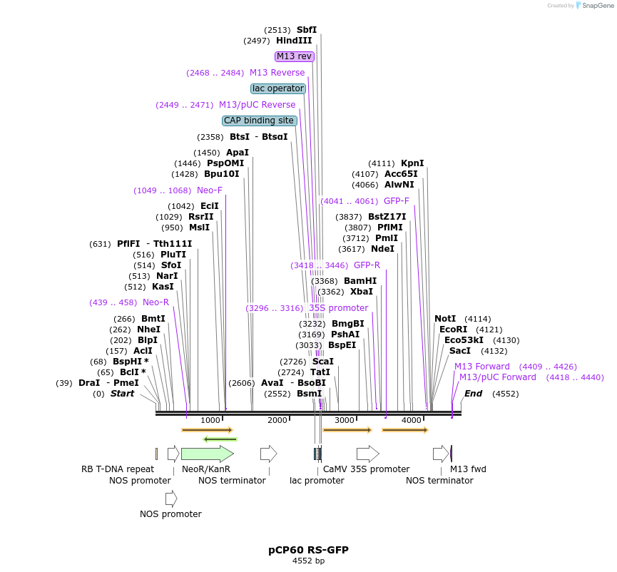 232940_map