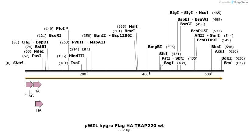 23302_map