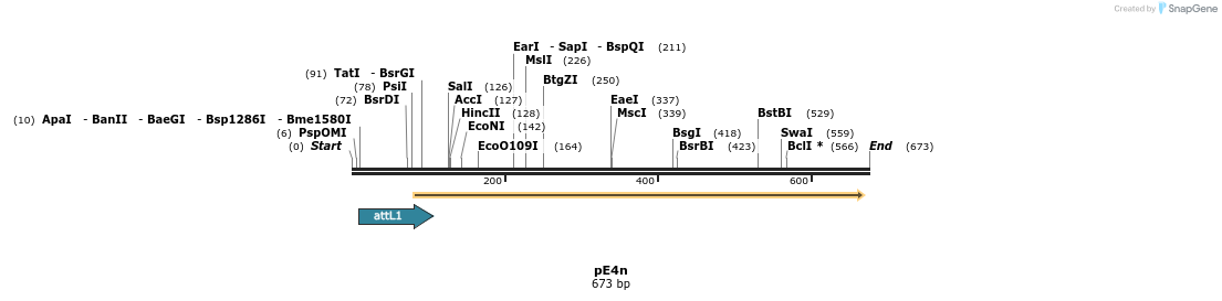 23303_map