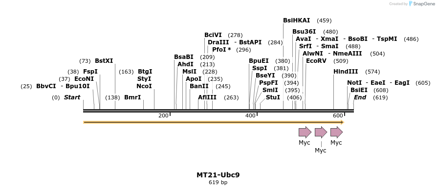 23305_map