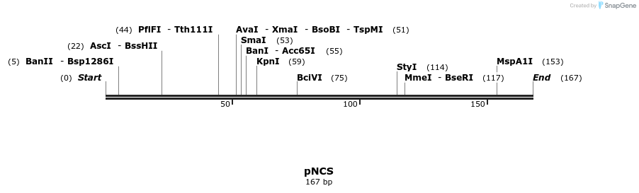 23306_map