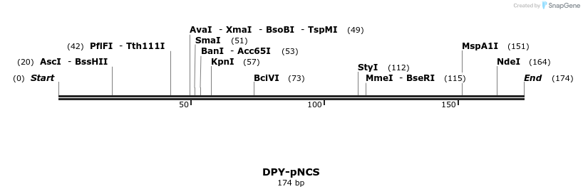 23309_map
