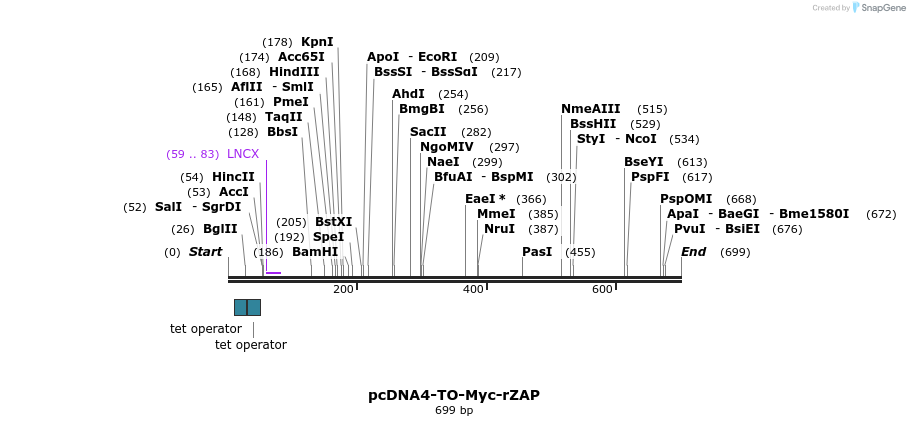 23310_map