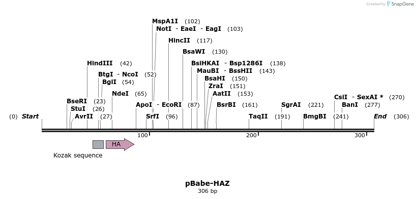 23312_map