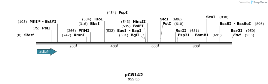 23319_map