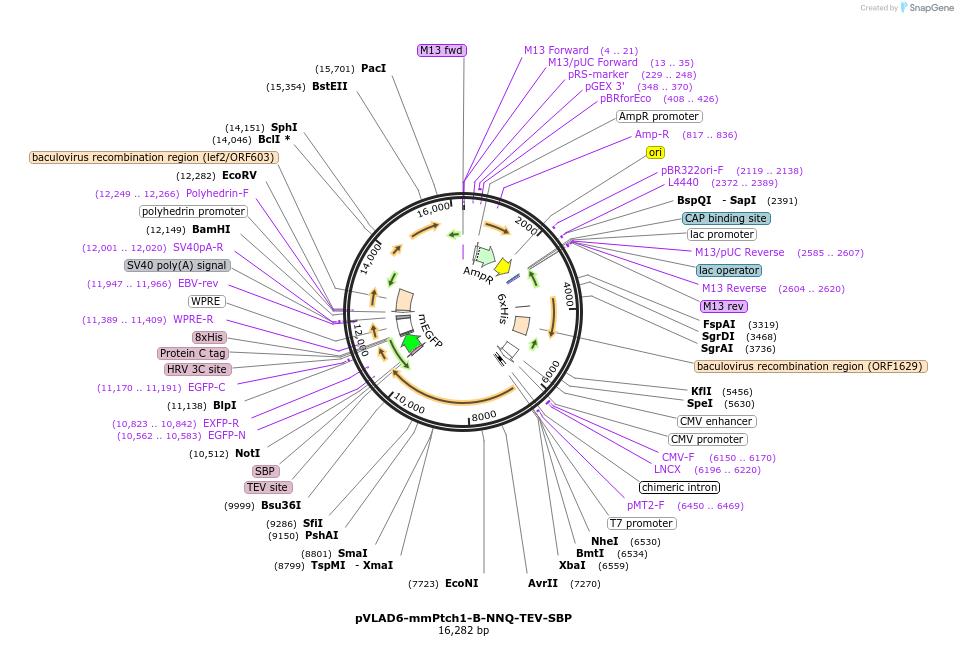 233192_map