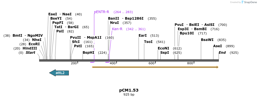 23323_map