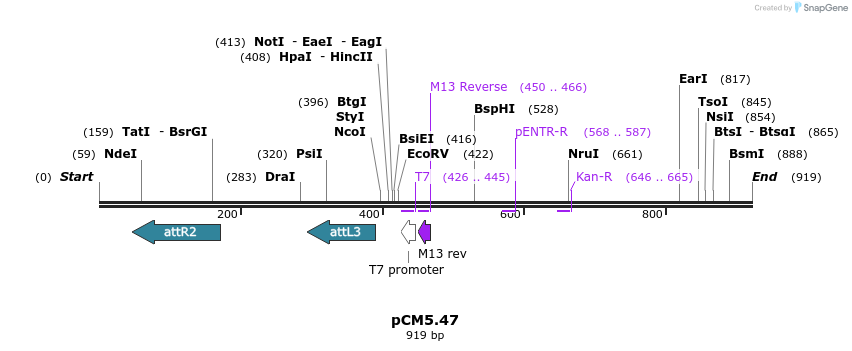 23327_map