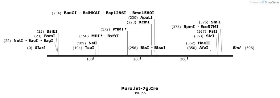 23330_map