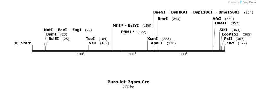 23331_map