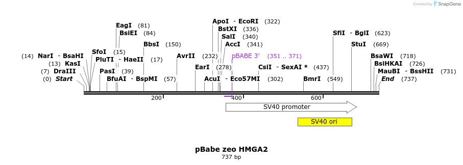 23332_map