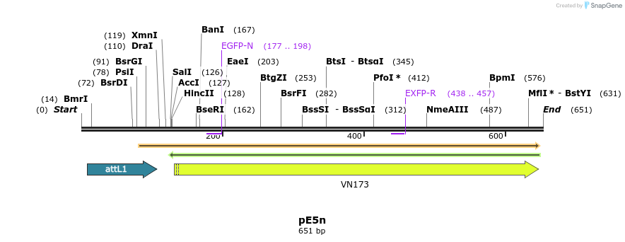 23333_map