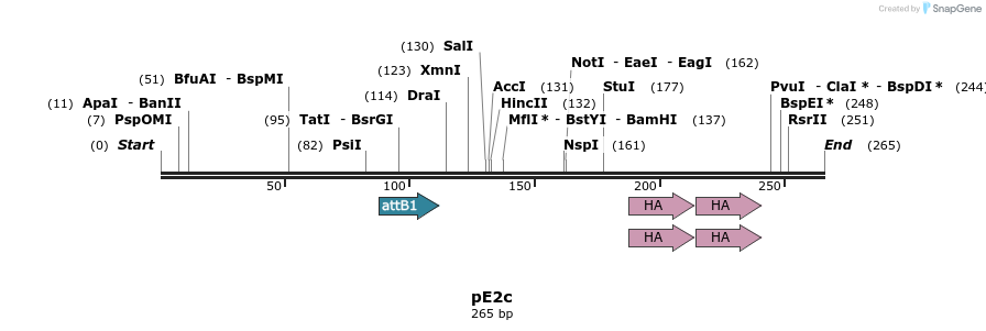 23335_map