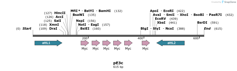 23337_map