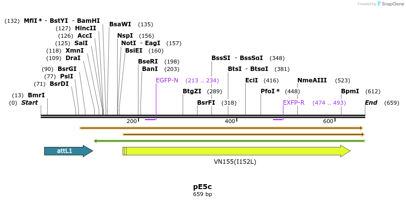 23339_map
