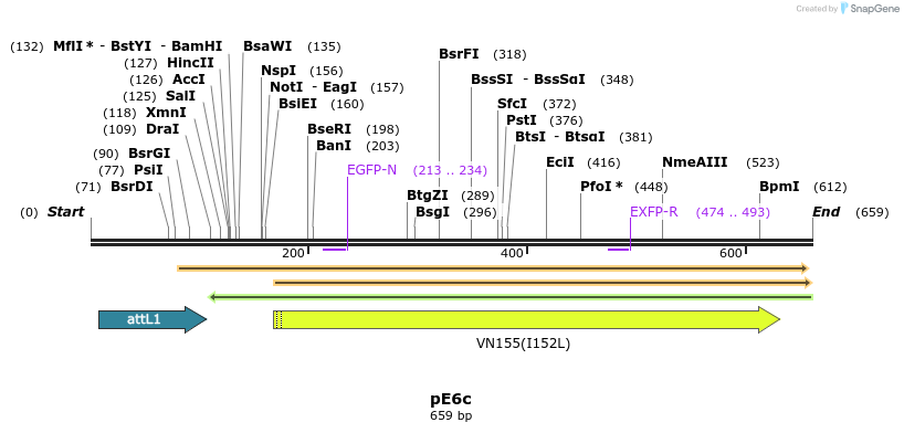 23340_map