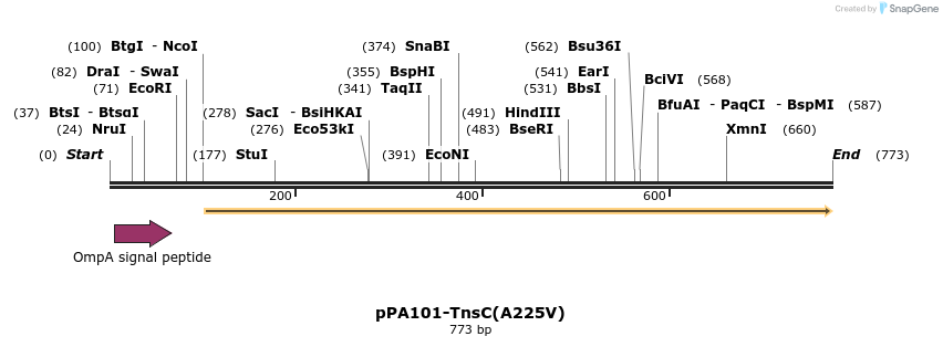 23342_map