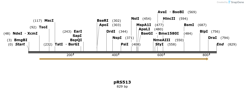 23343_map