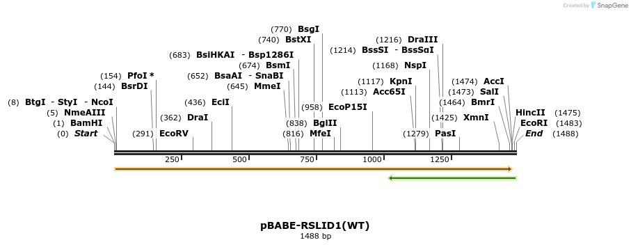 233445_map