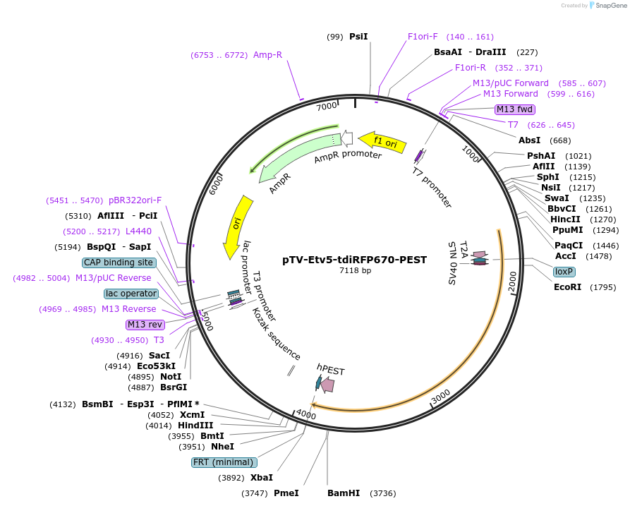 233458_map