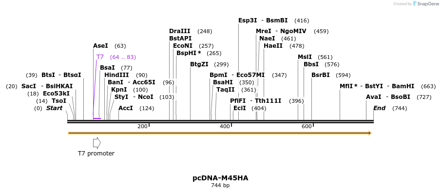 23348_map