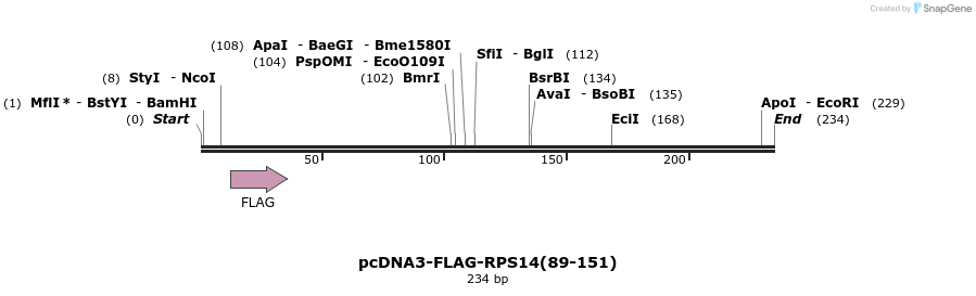 233529_map