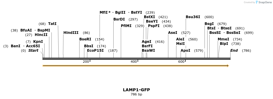 23356_map