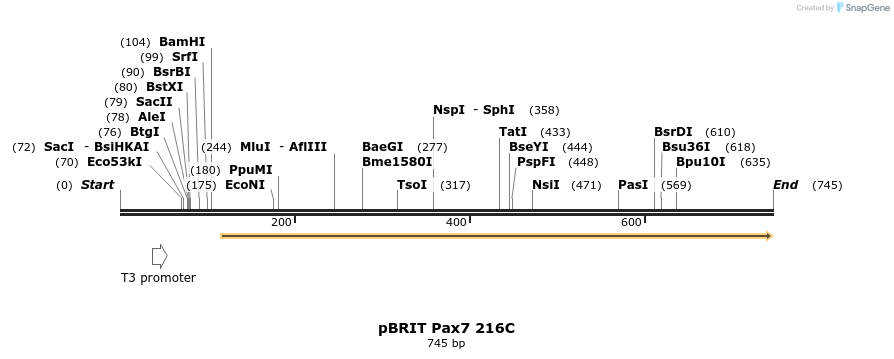 23357_map