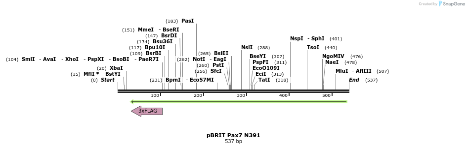 23359_map