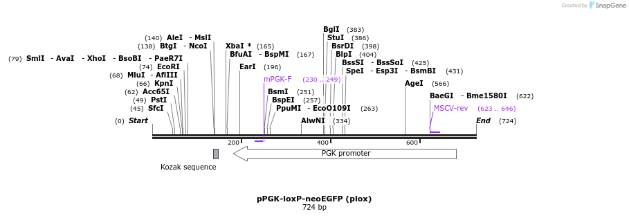 23364_map