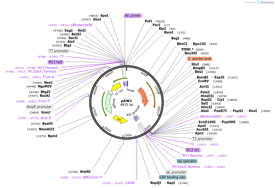 233700_map