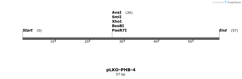 233729_map