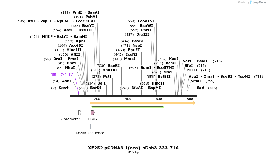 23374_map