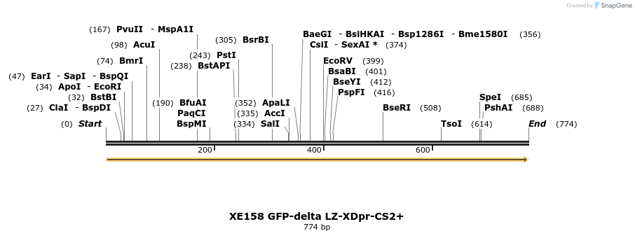 23377_map