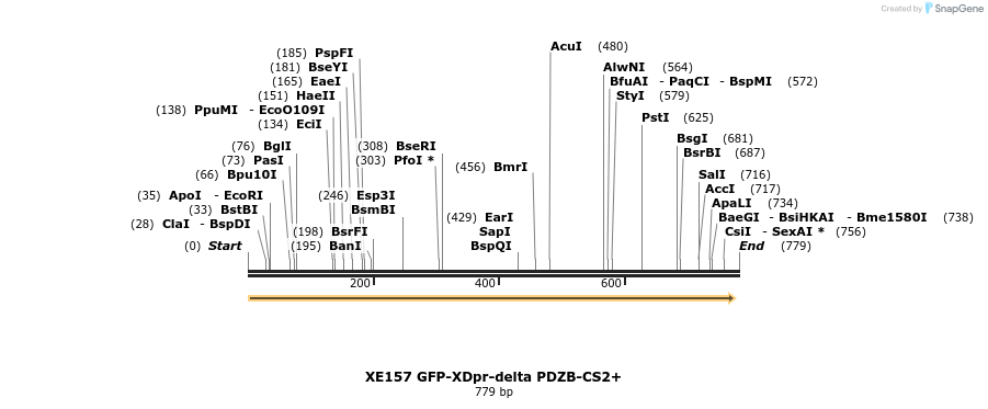 23378_map