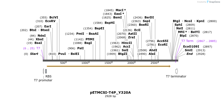 233792_map