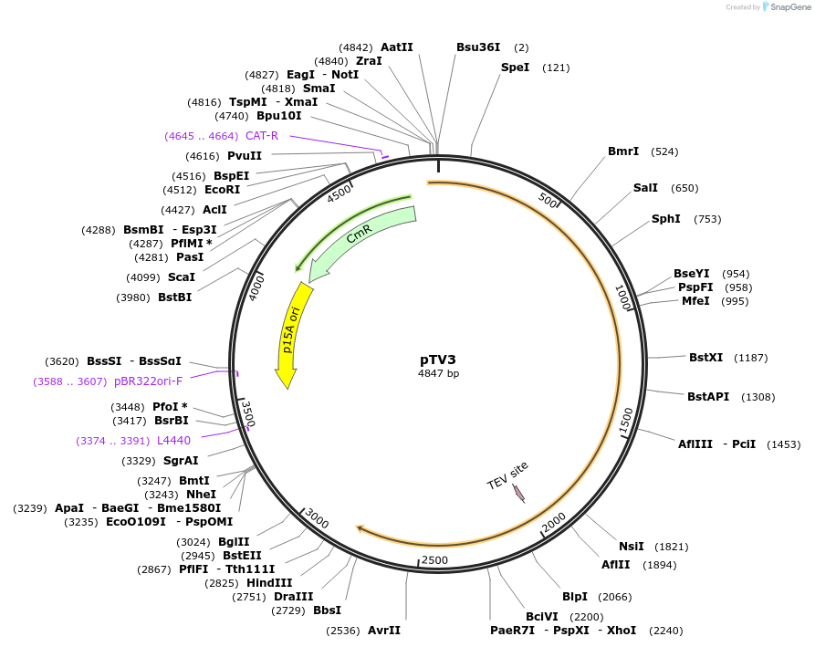 233799_map
