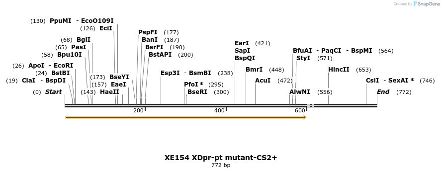 23381_map