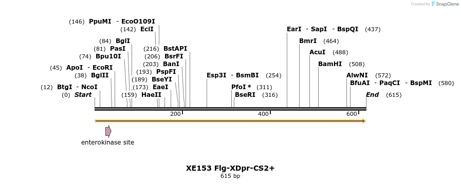23382_map