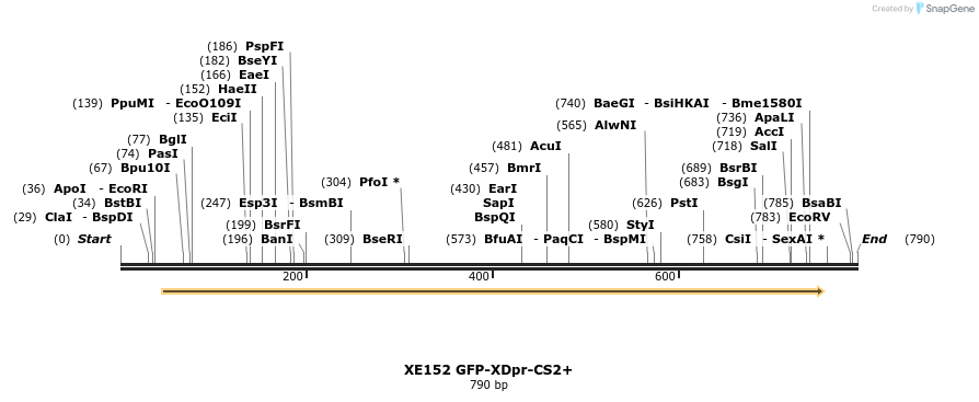 23383_map