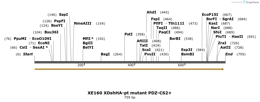 23386_map