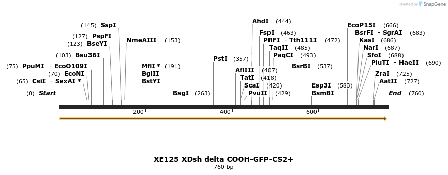 23387_map