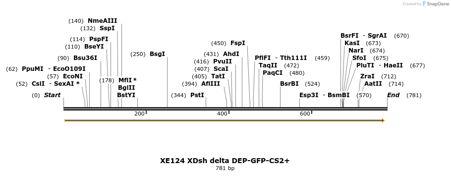 23388_map