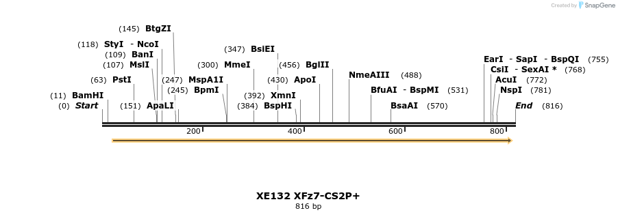 23391_map