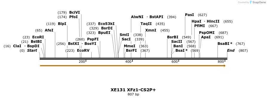 23392_map