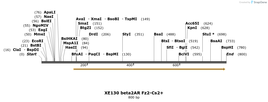 23393_map