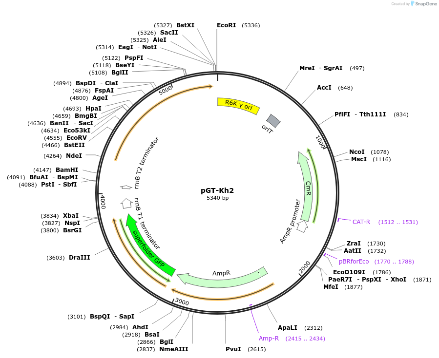 233939_map