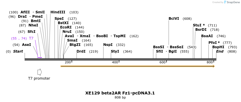 23394_map